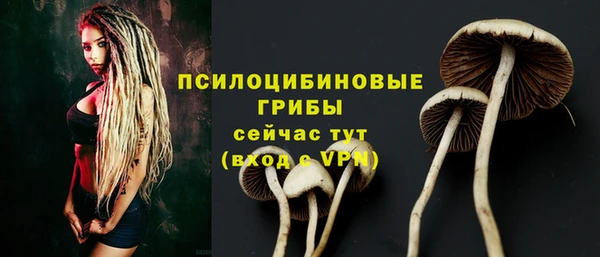 apvp Медногорск