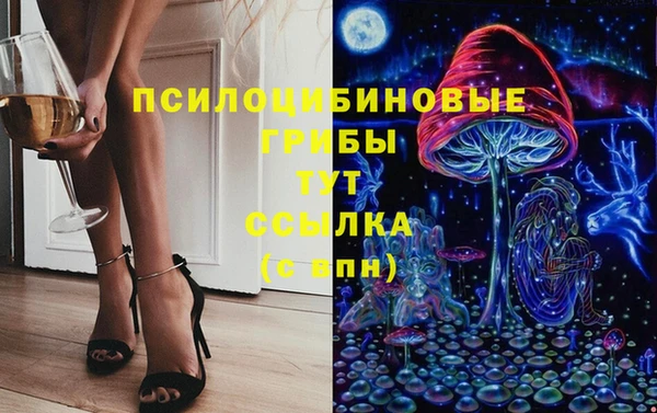дмт Медвежьегорск