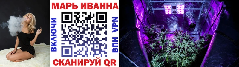 Бошки марихуана Amnesia  наркота  Чадан 
